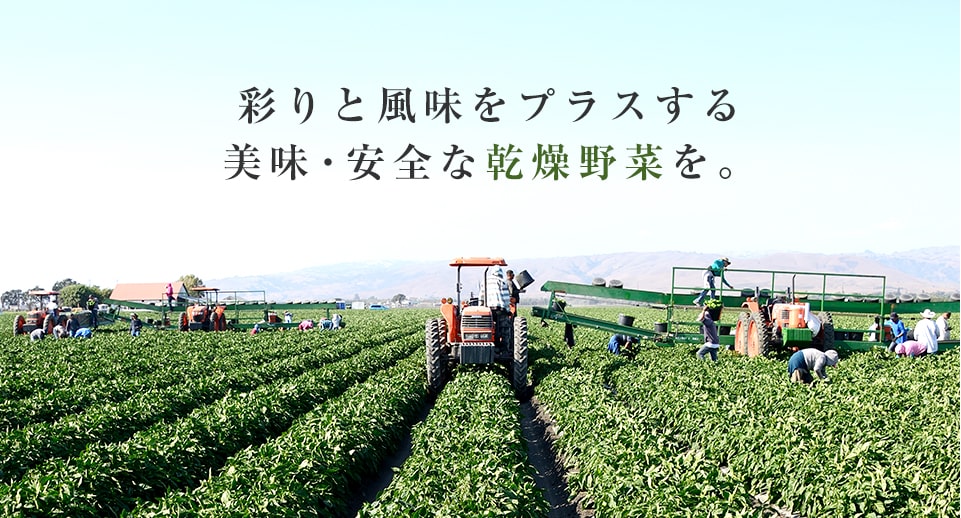 株式会社セレコンフーズ │ 乾燥野菜・フリーズドライ野菜の販売卸なら株式会社セレコンフーズへ